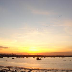 Horse Sand moorings