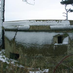 Pill Box