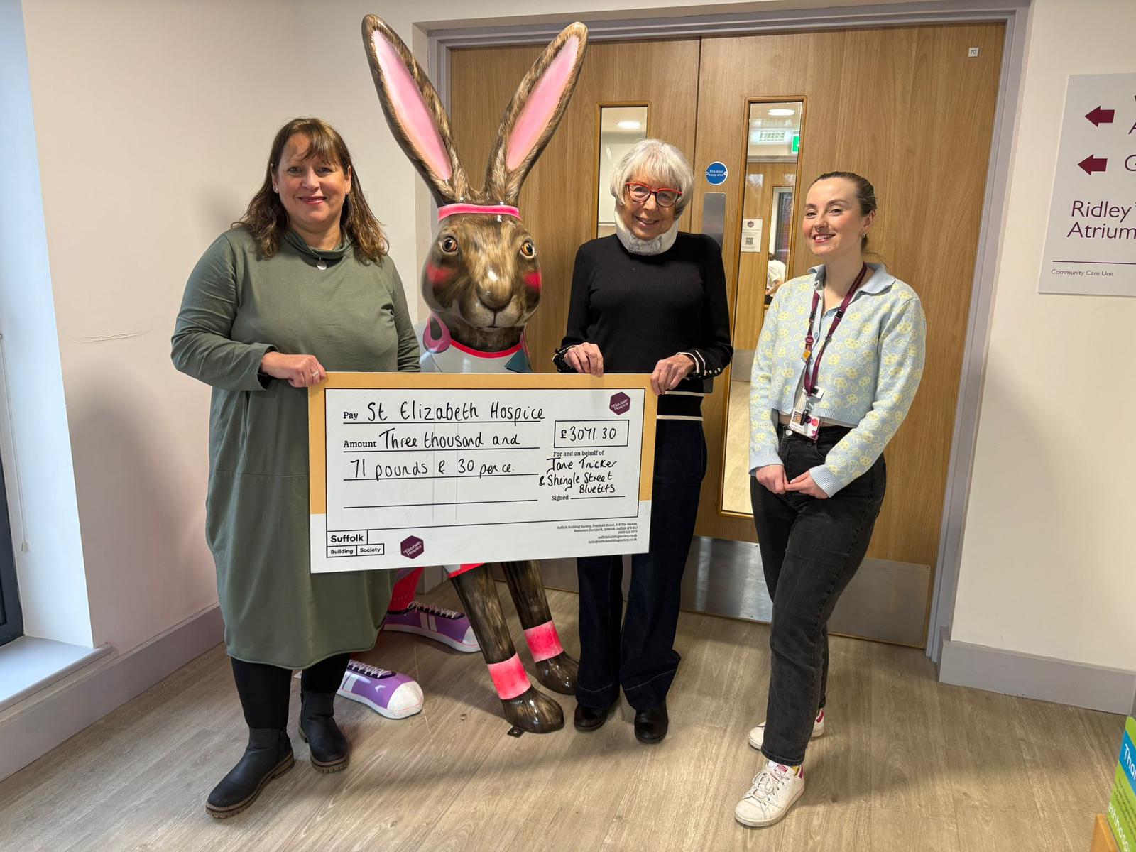 New Year's Day Swim - Donation