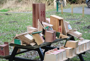 Bird Boxes