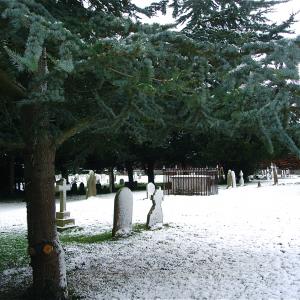 DSC02517